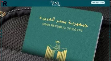 استخراج جواز.. تعرف على مكاتب الجوازات التابعة لمحلك والإجراءات في مصلحة العباسية